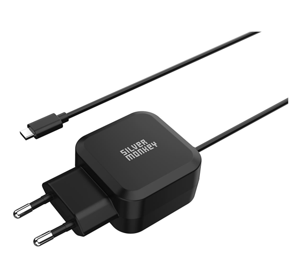 SILVER MONKEY 65W USB-C - 1202249 - zdjęcie